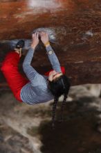 Filename: SRM_20161222_1502010.jpg
Aperture: f/2.0
Shutter Speed: 1/800
Body: Canon EOS-1D Mark II
Lens: Canon EF 85mm f/1.2 L II