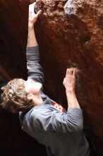 Filename: SRM_20161222_1640192.jpg
Aperture: f/2.2
Shutter Speed: 1/250
Body: Canon EOS-1D Mark II
Lens: Canon EF 85mm f/1.2 L II