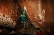 Filename: SRM_20161222_1701560.jpg
Aperture: f/8.0
Shutter Speed: 1/250
Body: Canon EOS-1D Mark II
Lens: Canon EF 16-35mm f/2.8 L