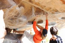 Filename: SRM_20170104_1419501.jpg
Aperture: f/2.8
Shutter Speed: 1/400
Body: Canon EOS-1D Mark II
Lens: Canon EF 85mm f/1.2 L II