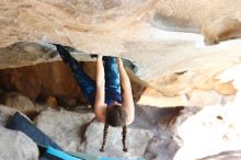 Filename: SRM_20170104_1423151.jpg
Aperture: f/2.8
Shutter Speed: 1/400
Body: Canon EOS-1D Mark II
Lens: Canon EF 85mm f/1.2 L II