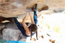 Filename: SRM_20170104_1423230.jpg
Aperture: f/2.8
Shutter Speed: 1/400
Body: Canon EOS-1D Mark II
Lens: Canon EF 85mm f/1.2 L II