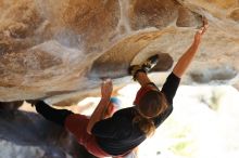 Filename: SRM_20170104_1439370.jpg
Aperture: f/2.8
Shutter Speed: 1/400
Body: Canon EOS-1D Mark II
Lens: Canon EF 85mm f/1.2 L II