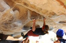 Filename: SRM_20170104_1439451.jpg
Aperture: f/2.8
Shutter Speed: 1/400
Body: Canon EOS-1D Mark II
Lens: Canon EF 85mm f/1.2 L II