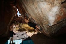 Filename: SRM_20170311_1140110.jpg
Aperture: f/9.0
Shutter Speed: 1/250
Body: Canon EOS-1D Mark II
Lens: Canon EF 16-35mm f/2.8 L