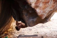 Filename: SRM_20170315_1058361.jpg
Aperture: f/1.6
Shutter Speed: 1/800
Body: Canon EOS-1D Mark II
Lens: Canon EF 85mm f/1.2 L II