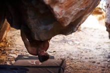 Filename: SRM_20170315_1058511.jpg
Aperture: f/1.6
Shutter Speed: 1/1250
Body: Canon EOS-1D Mark II
Lens: Canon EF 85mm f/1.2 L II