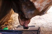 Filename: SRM_20170315_1058520.jpg
Aperture: f/1.6
Shutter Speed: 1/800
Body: Canon EOS-1D Mark II
Lens: Canon EF 85mm f/1.2 L II