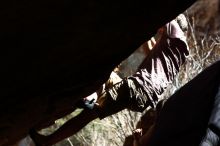 Filename: SRM_20170315_1414101.jpg
Aperture: f/4.0
Shutter Speed: 1/640
Body: Canon EOS-1D Mark II
Lens: Canon EF 85mm f/1.2 L II