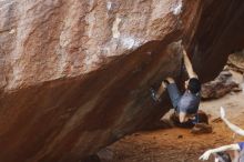 Filename: SRM_20170317_1031471.jpg
Aperture: f/2.5
Shutter Speed: 1/320
Body: Canon EOS-1D Mark II
Lens: Canon EF 85mm f/1.2 L II