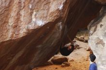 Filename: SRM_20170317_1035110.jpg
Aperture: f/2.5
Shutter Speed: 1/320
Body: Canon EOS-1D Mark II
Lens: Canon EF 85mm f/1.2 L II