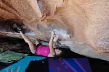 Filename: SRM_20170325_1336081.jpg
Aperture: f/4.0
Shutter Speed: 1/200
Body: Canon EOS-1D Mark II
Lens: Canon EF 16-35mm f/2.8 L