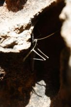 Filename: SRM_20170525_1301290.jpg
Aperture: f/5.0
Shutter Speed: 1/250
Body: Canon EOS-1D Mark II
Lens: Canon EF 16-35mm f/2.8 L