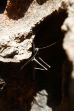 Filename: SRM_20170525_1301310.jpg
Aperture: f/5.6
Shutter Speed: 1/250
Body: Canon EOS-1D Mark II
Lens: Canon EF 16-35mm f/2.8 L