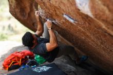 Filename: SRM_20170703_1212161.jpg
Aperture: f/2.0
Shutter Speed: 1/1000
Body: Canon EOS-1D Mark II
Lens: Canon EF 85mm f/1.2 L II