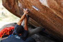 Filename: SRM_20170703_1212201.jpg
Aperture: f/2.0
Shutter Speed: 1/800
Body: Canon EOS-1D Mark II
Lens: Canon EF 85mm f/1.2 L II