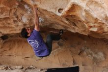 Filename: SRM_20171227_1515162.jpg
Aperture: f/2.8
Shutter Speed: 1/500
Body: Canon EOS-1D Mark II
Lens: Canon EF 85mm f/1.2 L II