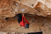 Filename: SRM_20171227_1515570.jpg
Aperture: f/2.8
Shutter Speed: 1/500
Body: Canon EOS-1D Mark II
Lens: Canon EF 85mm f/1.2 L II