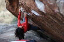 Filename: SRM_20171227_1806231.jpg
Aperture: f/1.6
Shutter Speed: 1/250
Body: Canon EOS-1D Mark II
Lens: Canon EF 85mm f/1.2 L II