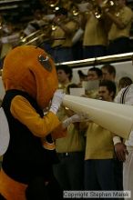 The Georgia Tech women's basketball team played Clemson.
Filename: img_0537_std.jpg
Aperture: f/2.8
Shutter Speed: 1/400
Body: Canon EOS DIGITAL REBEL
Lens: Canon EF 80-200mm f/2.8 L