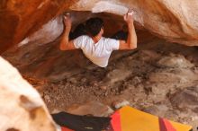 Filename: SRM_20180103_1424400.jpg
Aperture: f/2.8
Shutter Speed: 1/250
Body: Canon EOS-1D Mark II
Lens: Canon EF 85mm f/1.2 L II