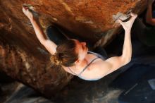 Filename: SRM_20180107_1325322.jpg
Aperture: f/2.8
Shutter Speed: 1/250
Body: Canon EOS-1D Mark II
Lens: Canon EF 50mm f/1.8 II