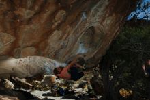 Filename: SRM_20180107_1441310.jpg
Aperture: f/5.6
Shutter Speed: 1/250
Body: Canon EOS-1D Mark II
Lens: Canon EF 16-35mm f/2.8 L