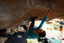 Filename: SRM_20180126_1441440.jpg
Aperture: f/5.6
Shutter Speed: 1/500
Body: Canon EOS-1D Mark II
Lens: Canon EF 16-35mm f/2.8 L