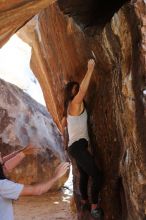 Filename: SRM_20180209_1406440.jpg
Aperture: f/3.5
Shutter Speed: 1/250
Body: Canon EOS-1D Mark II
Lens: Canon EF 50mm f/1.8 II