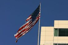 

Filename: img_0945_std.jpg
Aperture: f/6.3
Shutter Speed: 1/1000
Body: Canon EOS DIGITAL REBEL
Lens: Canon EF 80-200mm f/2.8 L