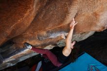 Bouldering in Hueco Tanks on 11/02/2018 with Blue Lizard Climbing and Yoga

Filename: SRM_20181102_1448270.jpg
Aperture: f/4.0
Shutter Speed: 1/320
Body: Canon EOS-1D Mark II
Lens: Canon EF 16-35mm f/2.8 L