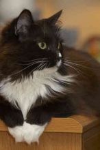 1020409145

Filename: SRM_20060115_211426_8.jpg
Aperture: f/4.0
Shutter Speed: 1/200
Body: Canon EOS 20D
Lens: Canon EF 80-200mm f/2.8 L