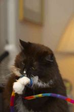 1020409145

Filename: SRM_20060115_211558_3.jpg
Aperture: f/4.0
Shutter Speed: 1/200
Body: Canon EOS 20D
Lens: Canon EF 80-200mm f/2.8 L