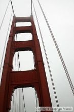 

Filename: img_8954_std.jpg
Aperture: f/6.3
Shutter Speed: 1/640
Body: Canon EOS DIGITAL REBEL
Lens: Canon EF-S 18-55mm f/3.5-5.6