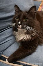 

Filename: crw_6463_std.jpg
Aperture: f/6.3
Shutter Speed: 1/200
Body: Canon EOS DIGITAL REBEL
Lens: Canon EF-S 18-55mm f/3.5-5.6