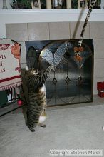 Filename: img_7937_std.jpg
Aperture: f/5.6
Shutter Speed: 1/125
Body: Canon EOS DIGITAL REBEL
Lens: Canon EF-S 18-55mm f/3.5-5.6