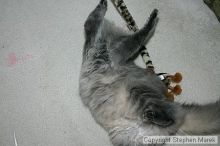 Filename: img_7934_std.jpg
Aperture: f/5.6
Shutter Speed: 1/125
Body: Canon EOS DIGITAL REBEL
Lens: Canon EF-S 18-55mm f/3.5-5.6