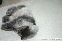 Filename: img_7930_std.jpg
Aperture: f/5.6
Shutter Speed: 1/125
Body: Canon EOS DIGITAL REBEL
Lens: Canon EF-S 18-55mm f/3.5-5.6