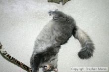 Filename: img_7935_std.jpg
Aperture: f/5.6
Shutter Speed: 1/125
Body: Canon EOS DIGITAL REBEL
Lens: Canon EF-S 18-55mm f/3.5-5.6