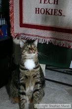 Filename: img_7952_std.jpg
Aperture: f/5.6
Shutter Speed: 1/125
Body: Canon EOS DIGITAL REBEL
Lens: Canon EF-S 18-55mm f/3.5-5.6