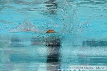 Filename: img_8553_std.jpg
Aperture: f/10.0
Shutter Speed: 1/1000
Body: Canon EOS DIGITAL REBEL
Lens: Canon EF 80-200mm f/2.8 L