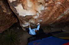 Bouldering in Hueco Tanks on 03/01/2019 with Blue Lizard Climbing and Yoga
Filename: SRM_20190301_1142210.jpg
Aperture: f/5.0
Shutter Speed: 1/200
Body: Canon EOS-1D Mark II
Lens: Canon EF 16-35mm f/2.8 L