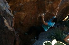 Bouldering in Hueco Tanks on 03/01/2019 with Blue Lizard Climbing and Yoga
Filename: SRM_20190301_1336410.jpg
Aperture: f/8.0
Shutter Speed: 1/250
Body: Canon EOS-1D Mark II
Lens: Canon EF 50mm f/1.8 II