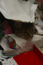 1020409145

Filename: SRM_20051225_004718_0.jpg
Aperture: f/7.1
Shutter Speed: 1/125
Body: Canon EOS 20D
Lens: Canon EF-S 18-55mm f/3.5-5.6