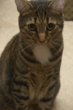 1020409145

Filename: SRM_20051225_132906_7.jpg
Aperture: f/8.0
Shutter Speed: 1/125
Body: Canon EOS 20D
Lens: Canon EF-S 18-55mm f/3.5-5.6