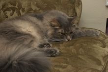 1020409145
Filename: SRM_20051224_233944_5.jpg
Aperture: f/8.0
Shutter Speed: 1/125
Body: Canon EOS 20D
Lens: Canon EF-S 18-55mm f/3.5-5.6