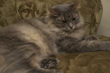 1020409145
Filename: SRM_20051224_234050_1.jpg
Aperture: f/8.0
Shutter Speed: 1/125
Body: Canon EOS 20D
Lens: Canon EF-S 18-55mm f/3.5-5.6