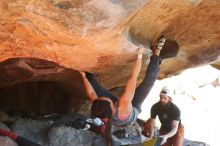 Filename: SRM_20190317_1616480.jpg
Aperture: f/4.0
Shutter Speed: 1/250
Body: Canon EOS-1D Mark II
Lens: Canon EF 50mm f/1.8 II