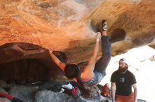 Filename: SRM_20190317_1616530.jpg
Aperture: f/4.0
Shutter Speed: 1/250
Body: Canon EOS-1D Mark II
Lens: Canon EF 50mm f/1.8 II