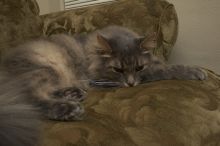 1020409145
Filename: SRM_20051224_234018_9.jpg
Aperture: f/8.0
Shutter Speed: 1/125
Body: Canon EOS 20D
Lens: Canon EF-S 18-55mm f/3.5-5.6